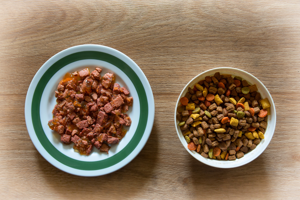 Dry Food vs. Wet Food Which Is Better For My Pet Vets in